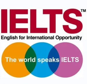 Ielts11