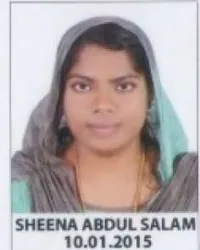 bemax nursing result