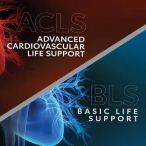 Images 2023 02 14T222256.500